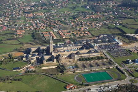 FEED QUALITY AND SAFETY  WORKSHOP
