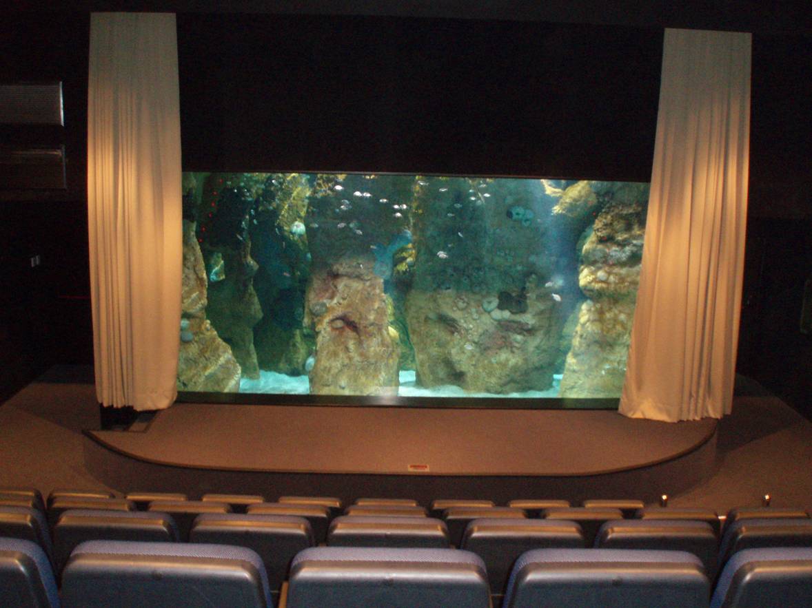 XVIII CONVENCIóN SOCIEDAD ESPAñOLA DE KILLIS