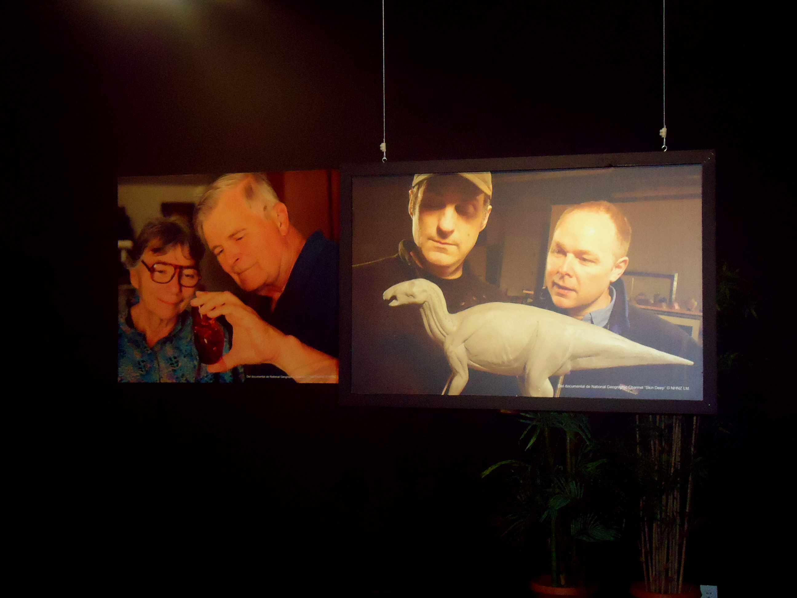 «CSI: DINOSAURIOS EN EL MUJA», NUEVA EXPOSICIóN DEL MUSEO DEL JURáSICO