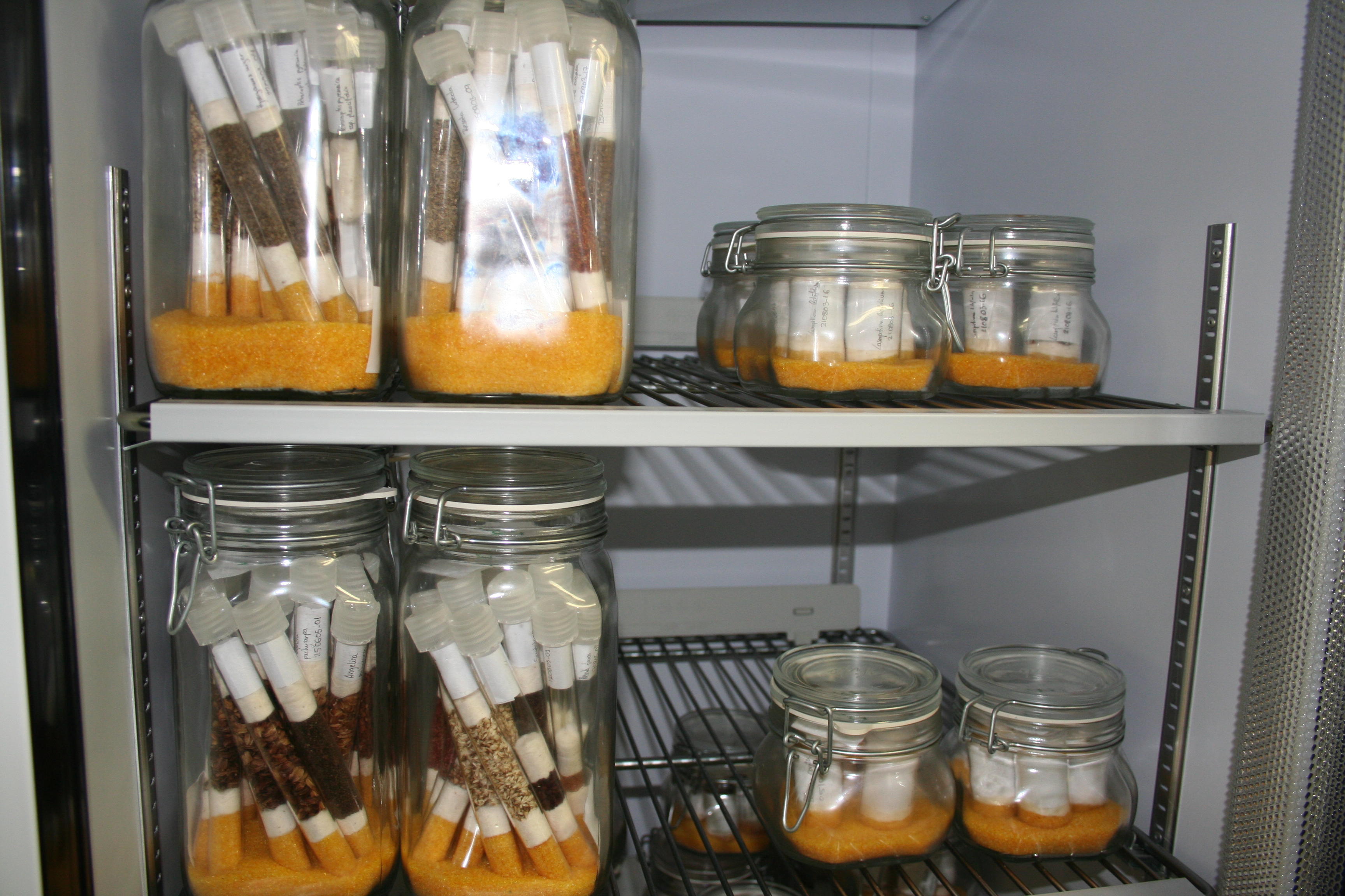 PREMIADA LA LABOR INVESTIGADORA EN EL JARDíN BOTáNICO ATLáNTICO