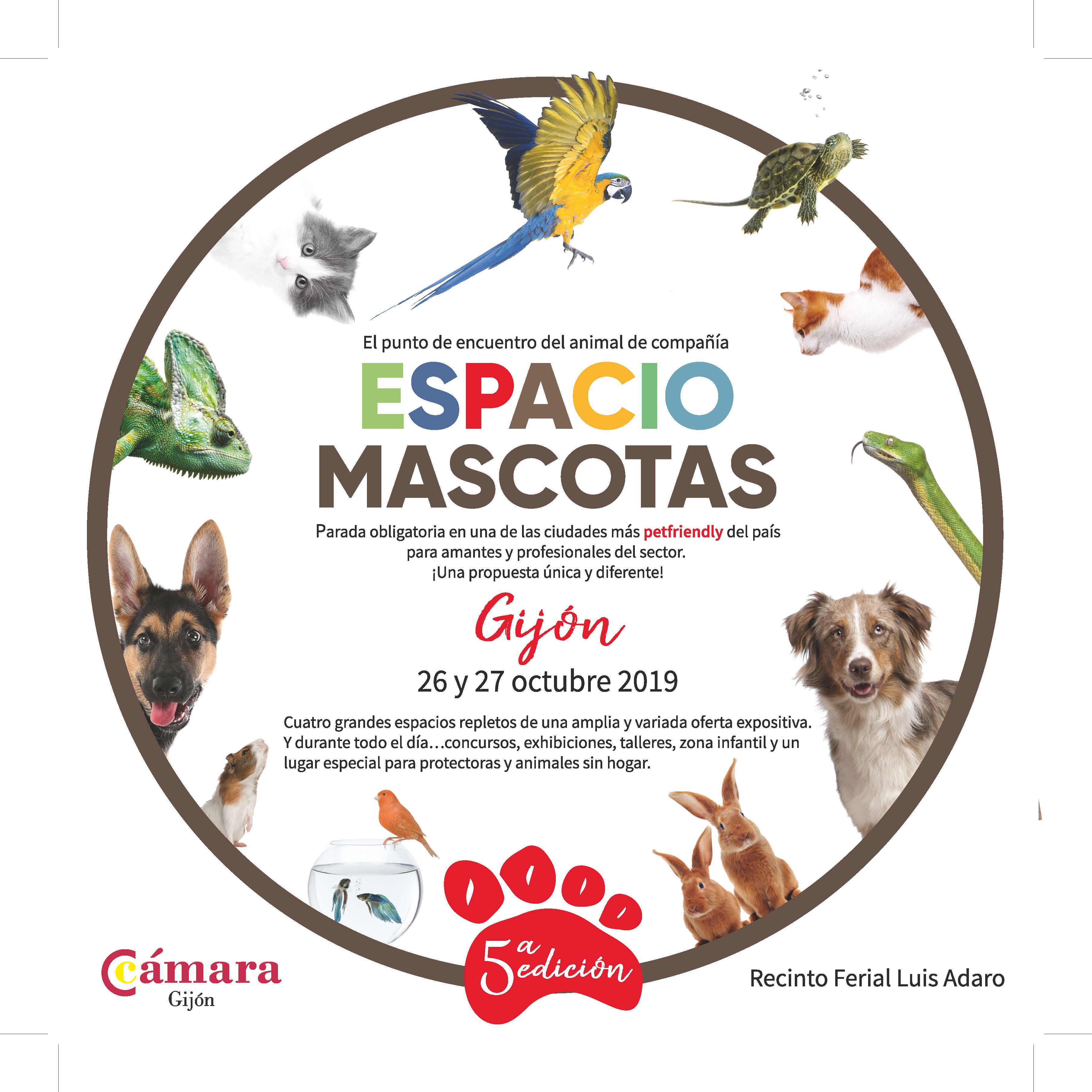 ESPACIO MASCOTAS